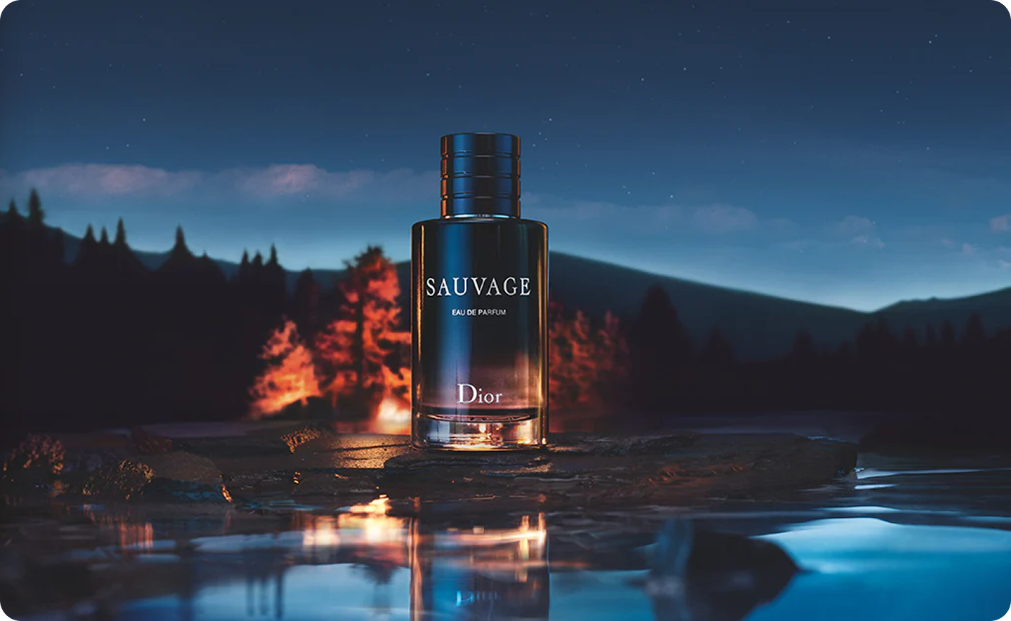 New Launch Perfume